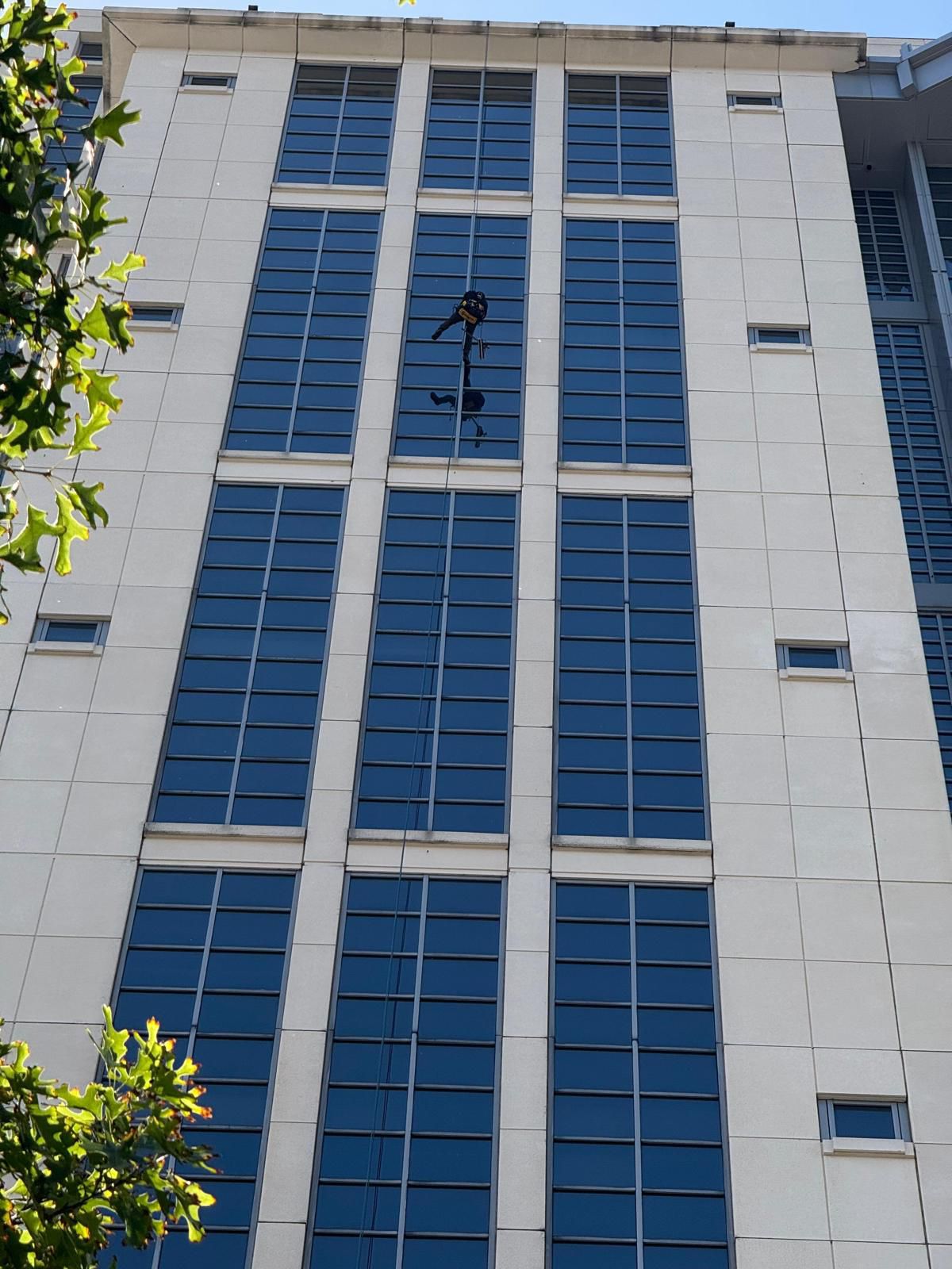 BlueSky rope access technicians rappelling down a high-rise glass facade